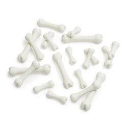 Guidecraft Big Bones Set - 20 pieces*Kids Kids' Outdoor Toys|Science Toys