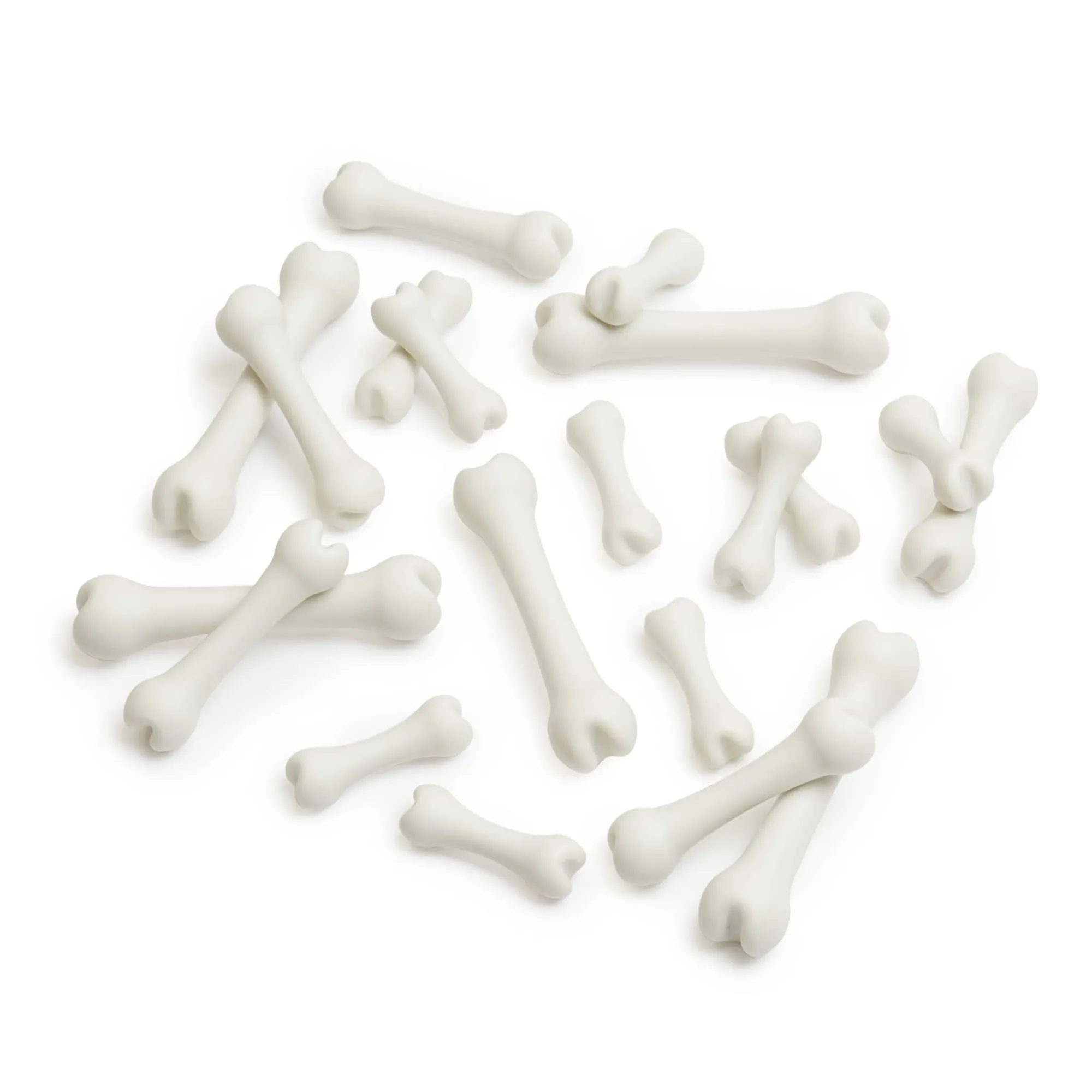 Guidecraft Big Bones Set - 20 pieces*Kids Kids' Outdoor Toys|Science Toys