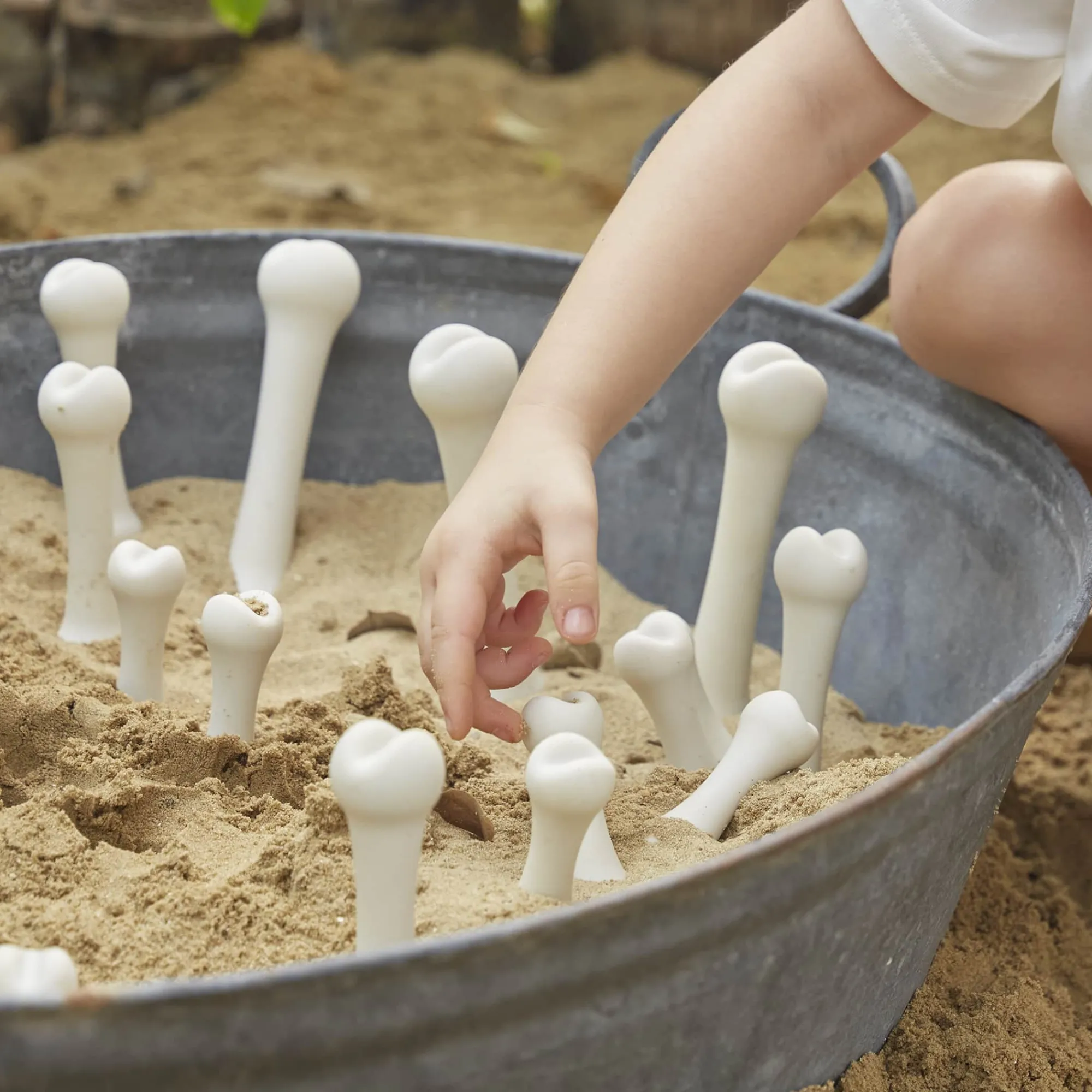 Guidecraft Big Bones Set - 20 pieces*Kids Kids' Outdoor Toys|Science Toys