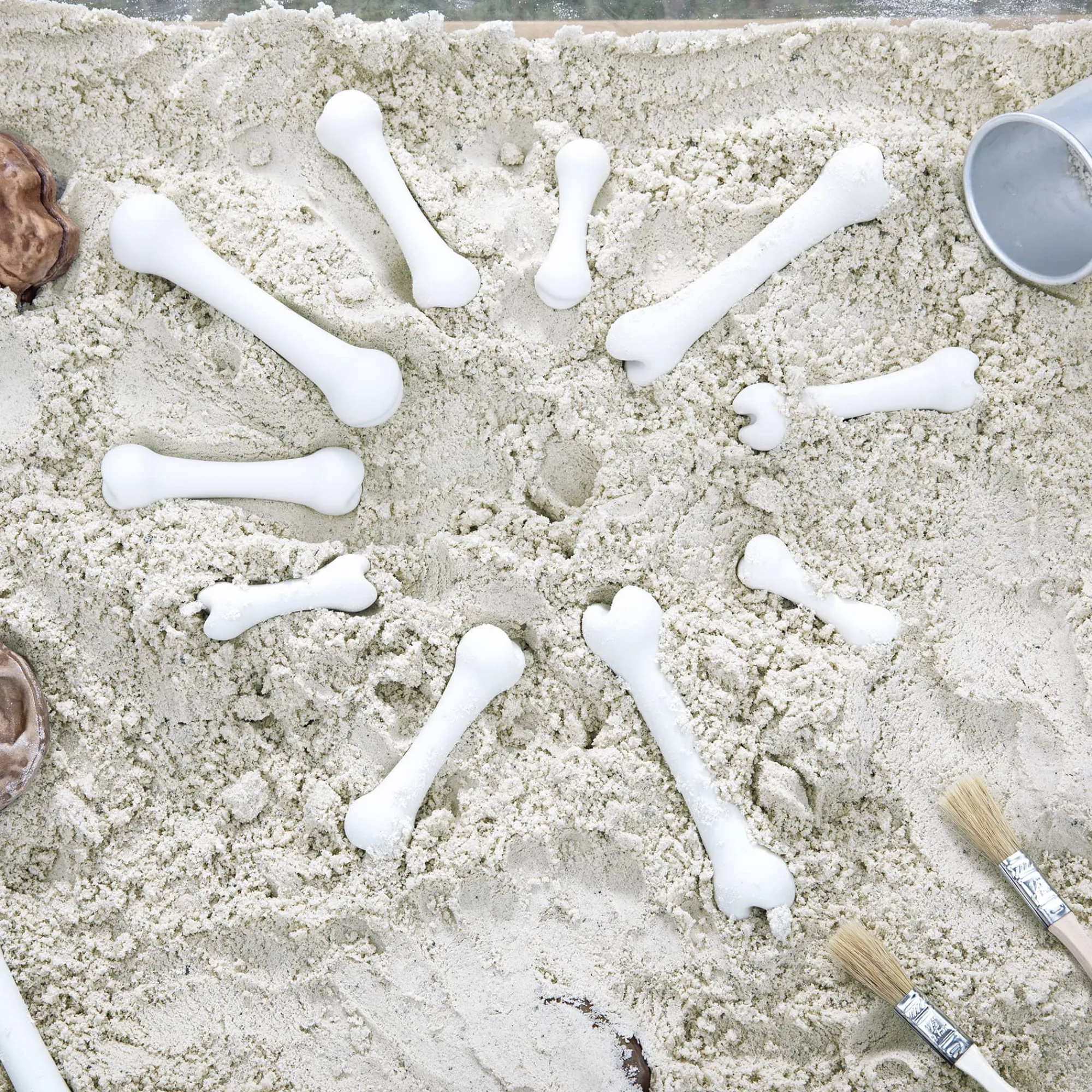 Guidecraft Big Bones Set - 20 pieces*Kids Kids' Outdoor Toys|Science Toys