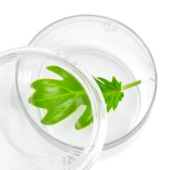 Guidecraft Carry and Discover Magnification Containers - Set of 2* Science Toys