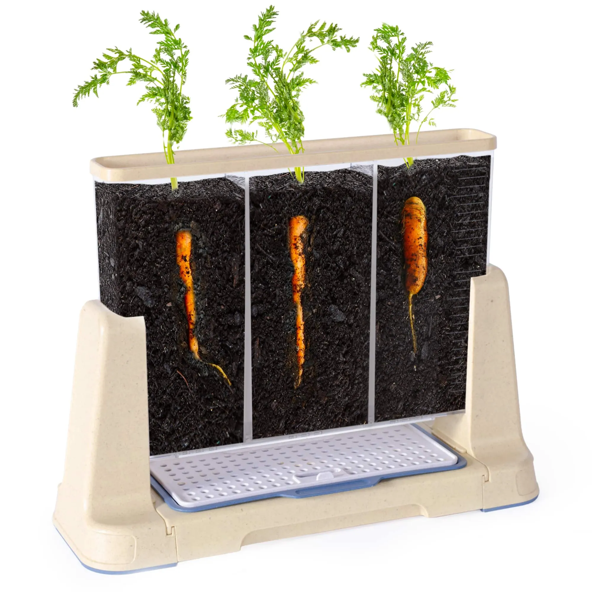 Guidecraft Explore and Discover 3 Section Root View Planter* Science Toys