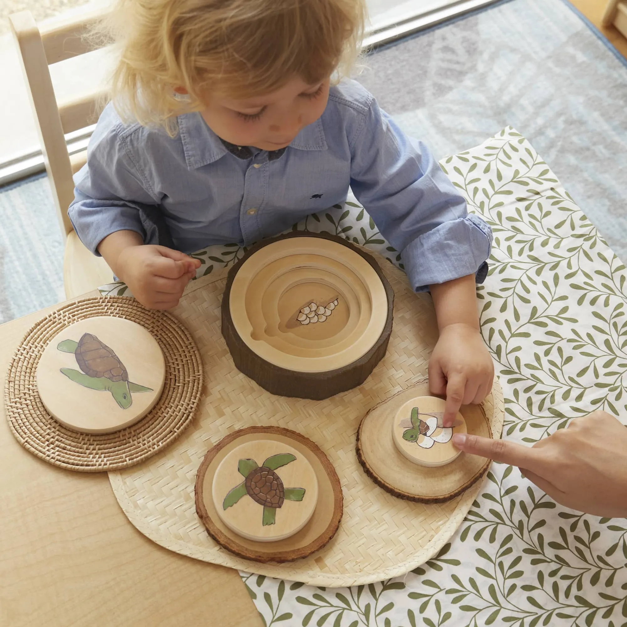 Guidecraft Lifecycle Puzzles - Set of 3* Nature-Inspired Toys