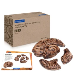Guidecraft Magnetic Fossil 3D Puzzle* Science Toys|Magnetic Toys