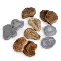 Guidecraft Magnetic Matching Fossil Stones - Set of 6*Kids Kids' Outdoor Toys|Science Toys