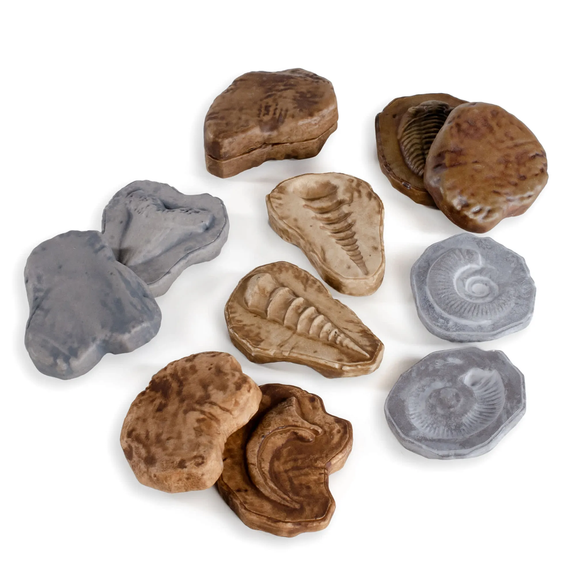 Guidecraft Magnetic Matching Fossil Stones - Set of 6*Kids Kids' Outdoor Toys|Science Toys