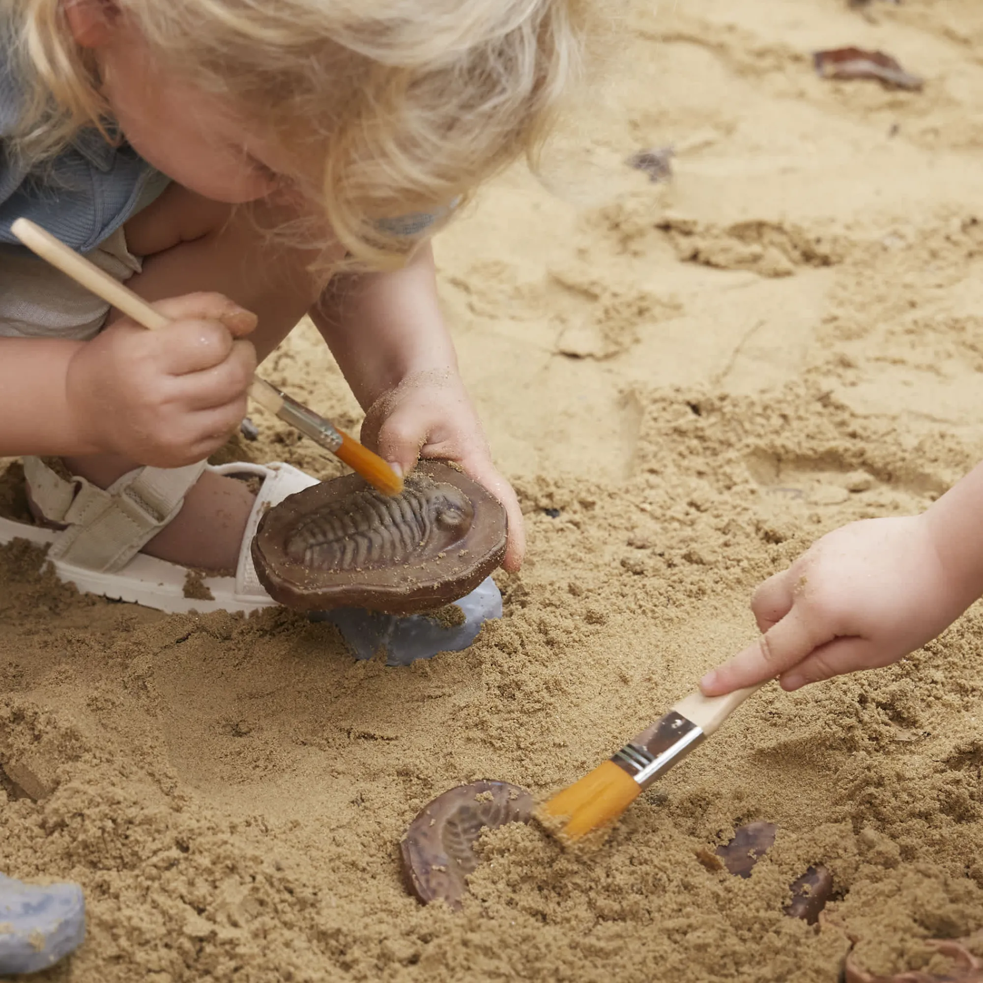Guidecraft Magnetic Matching Fossil Stones - Set of 6*Kids Kids' Outdoor Toys|Science Toys