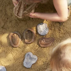 Guidecraft Magnetic Matching Fossil Stones - Set of 6*Kids Kids' Outdoor Toys|Science Toys
