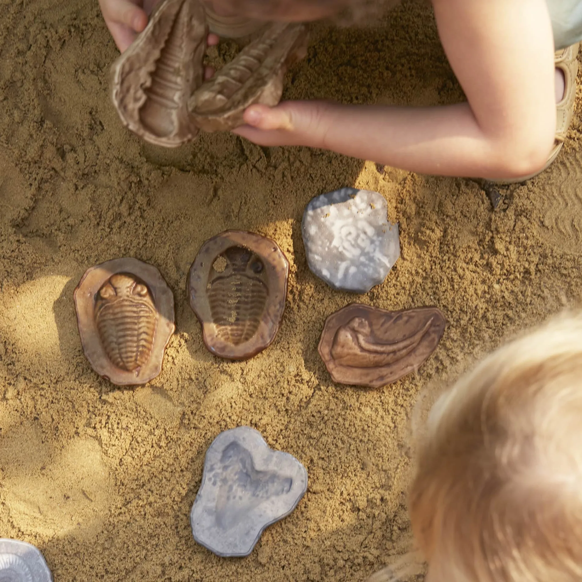 Guidecraft Magnetic Matching Fossil Stones - Set of 6*Kids Kids' Outdoor Toys|Science Toys