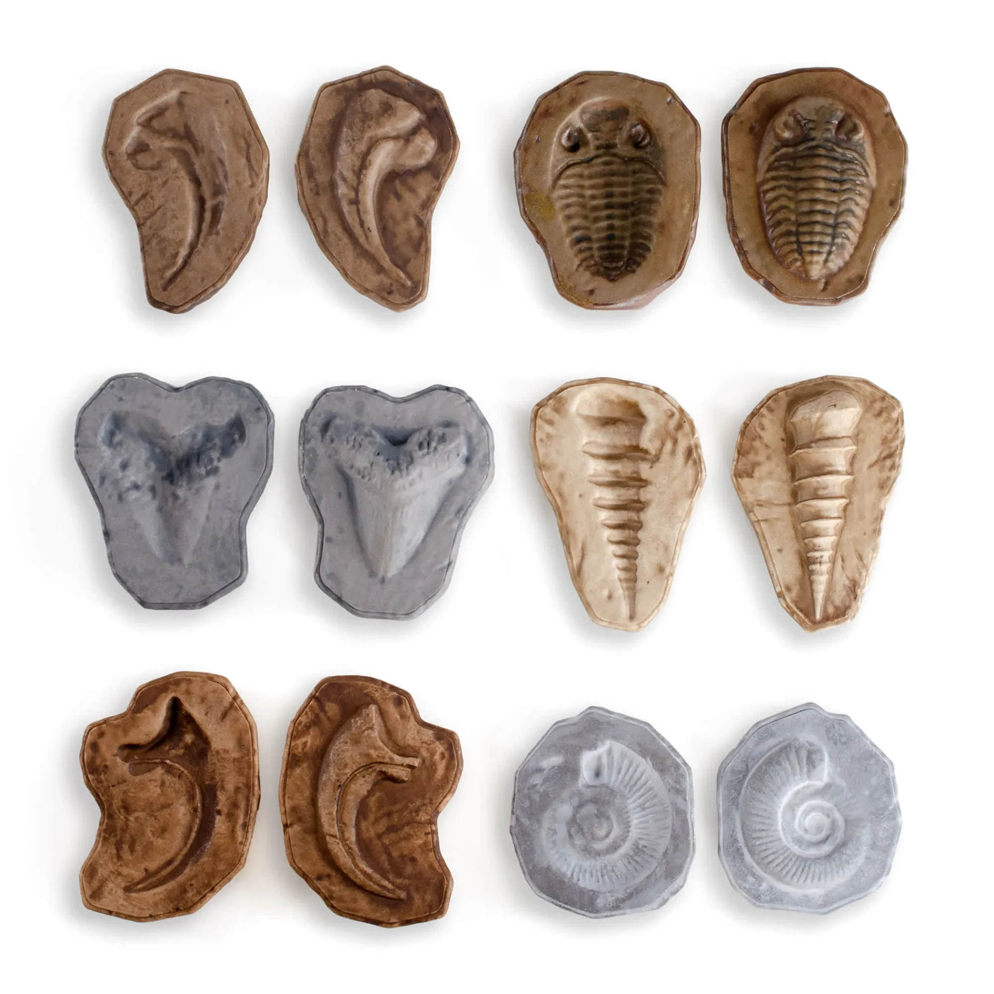 Guidecraft Magnetic Matching Fossil Stones - Set of 6*Kids Kids' Outdoor Toys|Science Toys