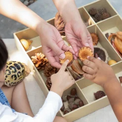 Guidecraft Nature's Geometry Loose Parts STEM Kit*Kids Kids' Outdoor Toys|Loose Parts Kits And Equipment