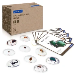 Guidecraft Specimen Stones* Science Toys