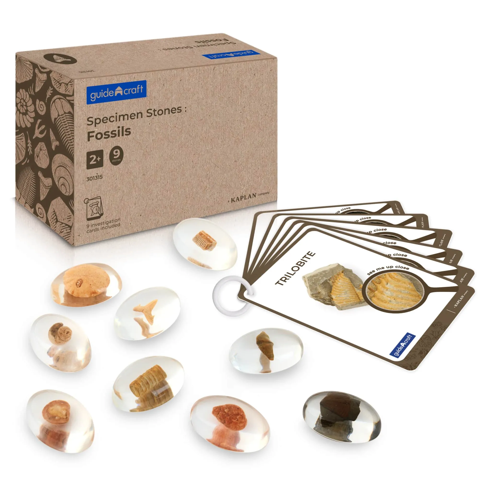 Guidecraft Specimen Stones* Science Toys