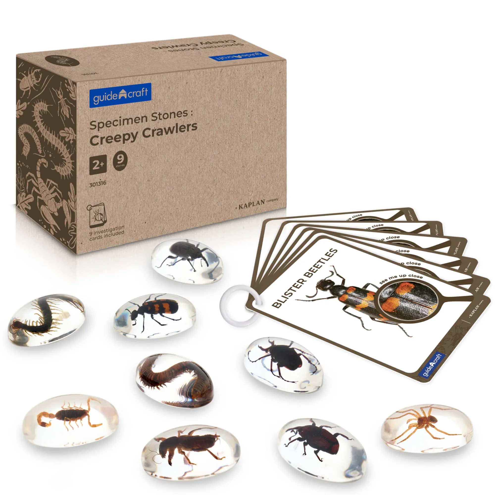 Guidecraft Specimen Stones* Science Toys