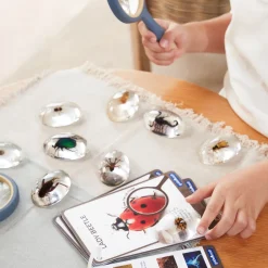 Guidecraft Specimen Stones* Science Toys
