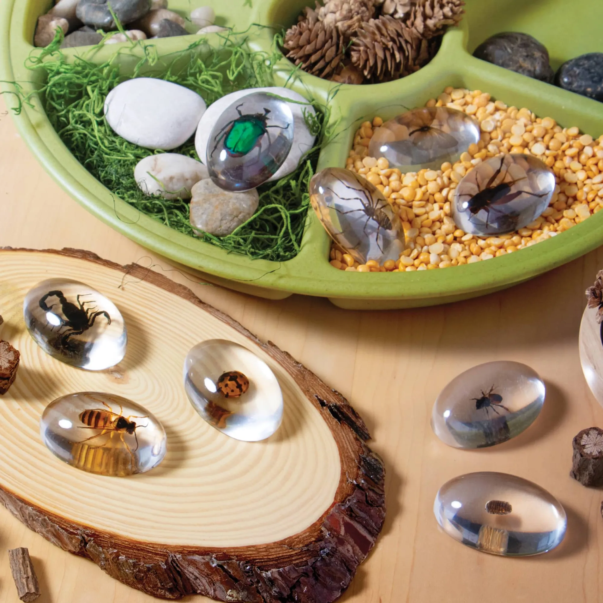 Guidecraft Specimen Stones* Science Toys