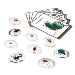 Guidecraft Specimen Stones* Science Toys
