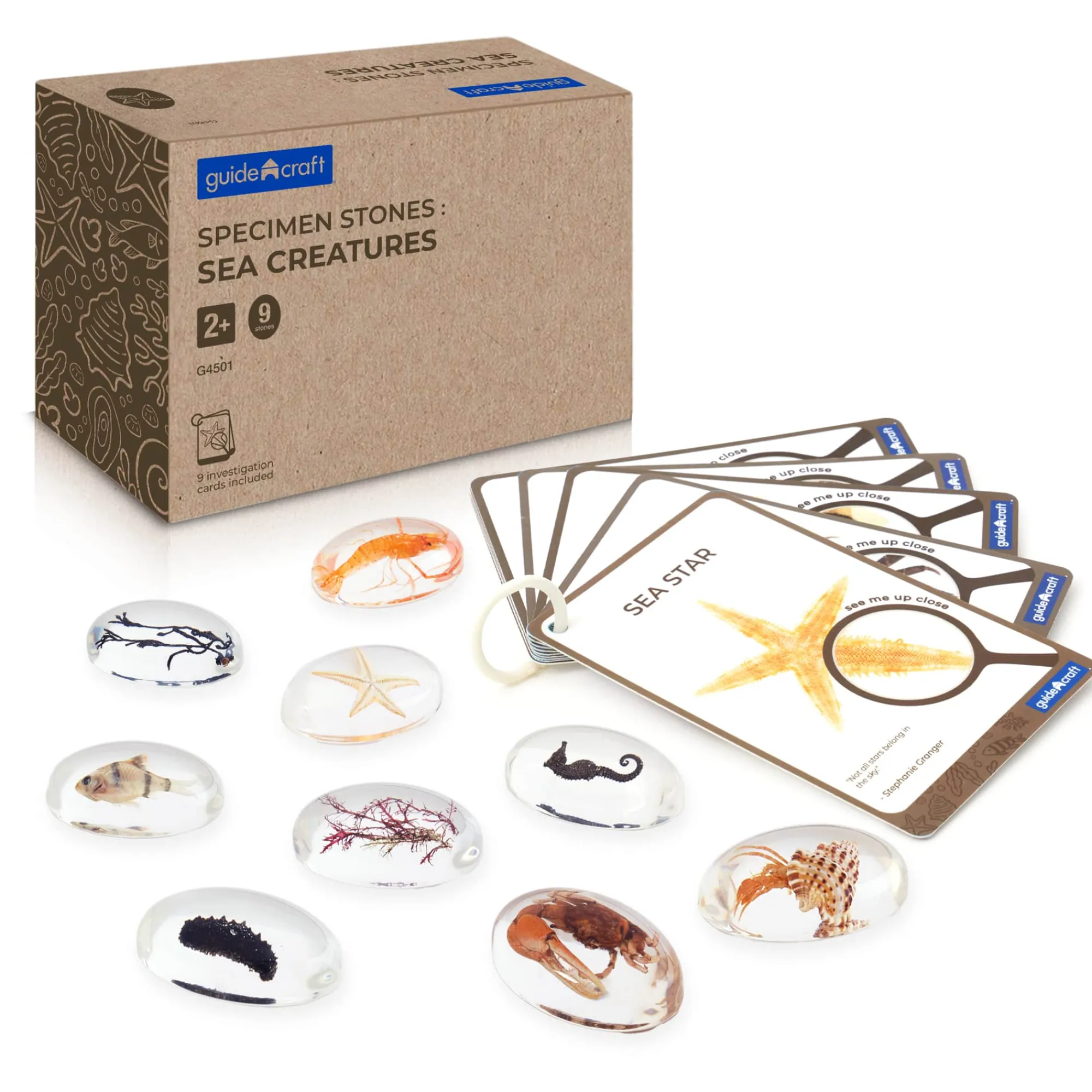Guidecraft Specimen Stones* Science Toys