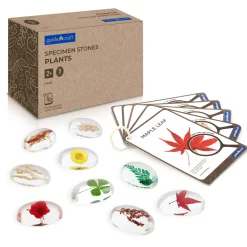 Guidecraft Specimen Stones* Science Toys
