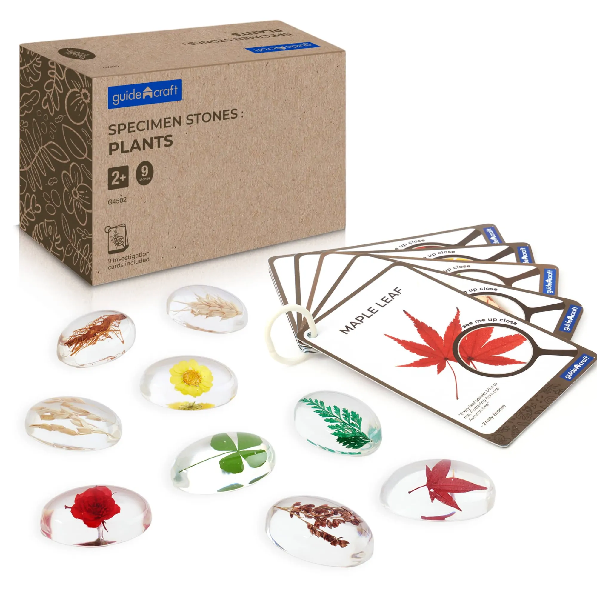 Guidecraft Specimen Stones* Science Toys